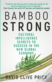 Capa do artigo Bamboo Strong