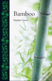 Capa do artigo Bamboo