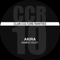 Capa do artigo Bamboo Valley - Vinil
