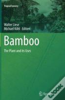 Bamboo