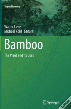 Capa do artigo Bamboo