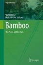 Bamboo - Preview