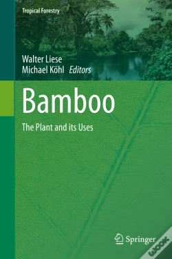 Capa do artigo Bamboo