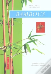 Bambous ; Comment Les Cultiver Facilement