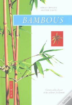 Capa do artigo Bambous ; Comment Les Cultiver Facilement