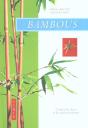 Bambous ; Comment Les Cultiver Facilement - Preview
