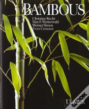 Capa do artigo Bambous