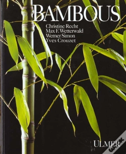 Capa do artigo Bambous
