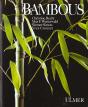 Bambous - Preview