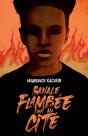 Banale Flambee Dans Ma Cite - Preview