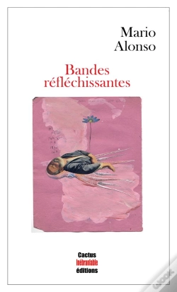 Capa do artigo Bandes Réfléchissantes