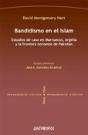 Bandidismo En El Islam - Preview