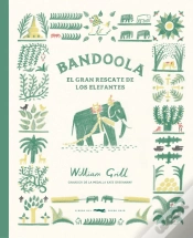 Capa do artigo Bandoola