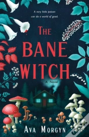 Capa do artigo Bane Witch