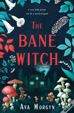 Capa do artigo Bane Witch