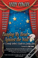 Banging My Head Against The Wall