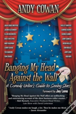 Capa do artigo Banging My Head Against The Wall