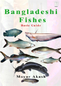 Bangladeshi Fishes Basic Guide - Preview