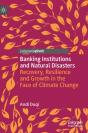 Banking Institutions And Natural Disasters - Preview