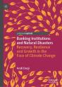 Banking Institutions And Natural Disasters - Preview