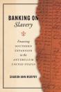 Banking On Slavery - Preview