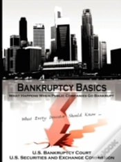 Capa do artigo Bankruptcy Basics