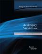 Bankruptcy Simulations - Preview