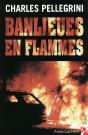 Banlieues En Flammes - Preview
