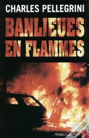 Capa do artigo Banlieues En Flammes