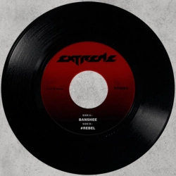 Capa do artigo Banshee - Vinil