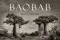 Baobab - Preview