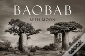 Capa do artigo Baobab