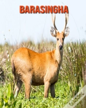 Capa do artigo Barasingha