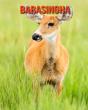 Barasingha - Preview
