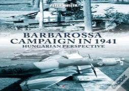 Barbarossa Campaign In 1941