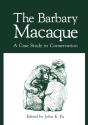 Barbary Macaque - Preview
