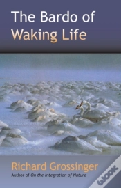 Capa do artigo Bardo Of Waking Life