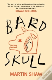Capa do artigo Bardskull