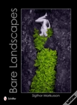 Capa do artigo Bare Landscapes