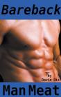 Bareback, Man Meat (Gay Erotica) - Preview