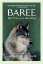 Baree - Preview