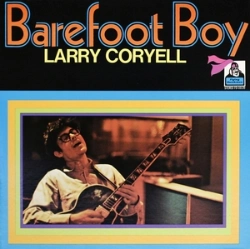 Capa do artigo Barefoot boy - CD