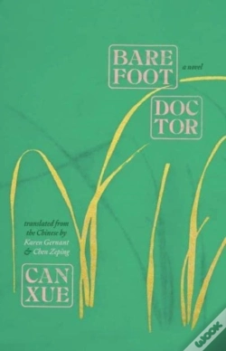 Capa do artigo Barefoot Doctor