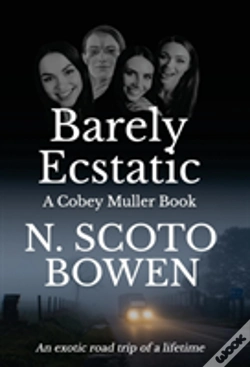 Capa do artigo Barely Ecstatic