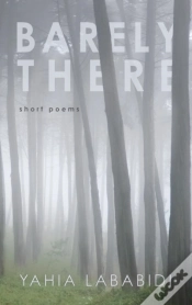 Capa do artigo Barely There