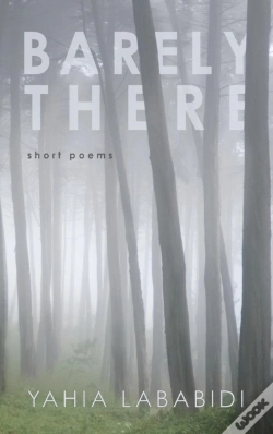 Capa do artigo Barely There