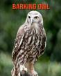Barking Owl - Preview