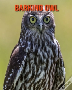 Capa do artigo Barking Owl