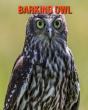 Barking Owl - Preview