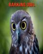 Barking Owl - Preview
